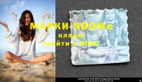 прущие грибы Покров