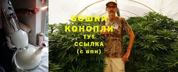 прущие грибы Покров