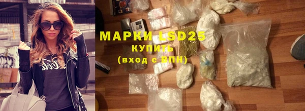 прущие грибы Покров