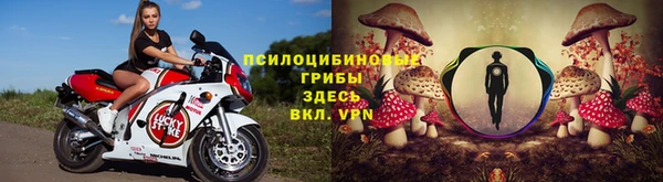 ALPHA PVP Покачи