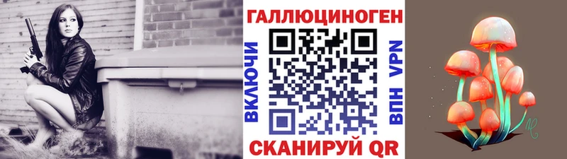Галлюциногенные грибы Psilocybe  Сухой Лог 