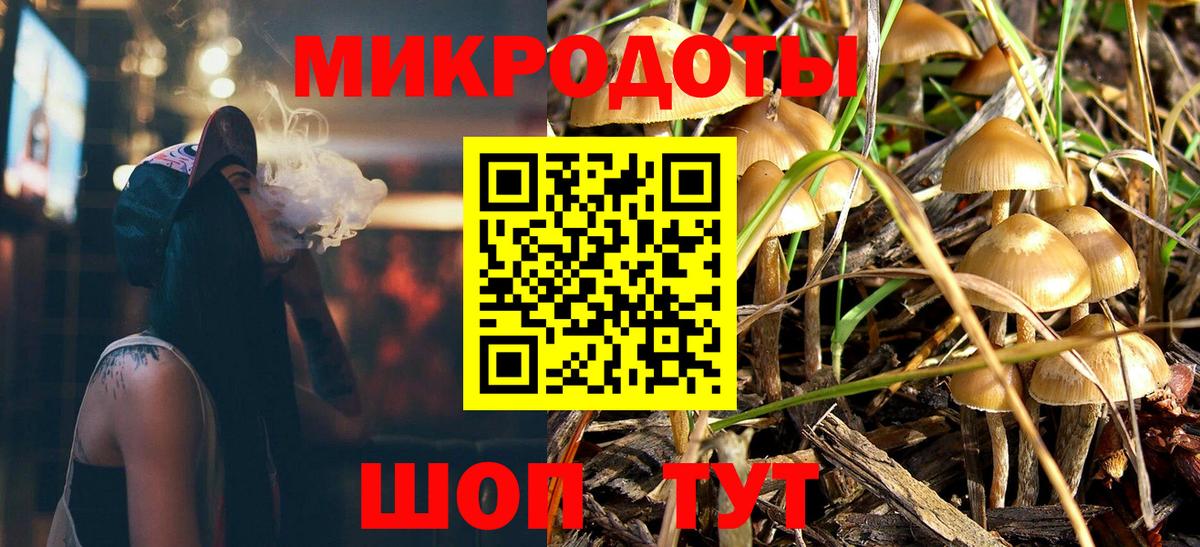 Сухой Лог  Псилоцибиновые грибы мухоморы  Псилоцибиновые грибы ЛСД  Вход с VPN 
